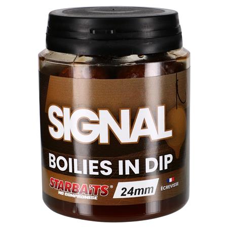 Bouillette Trempée Starbaits Performance Concept Signal Boilies In Dip