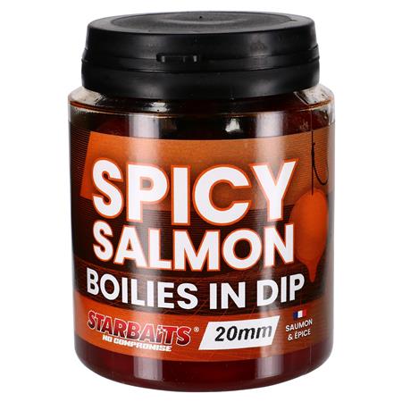 Bouillette Trempée Starbaits Performance Concept Spicy Salmon Boilies In Dip