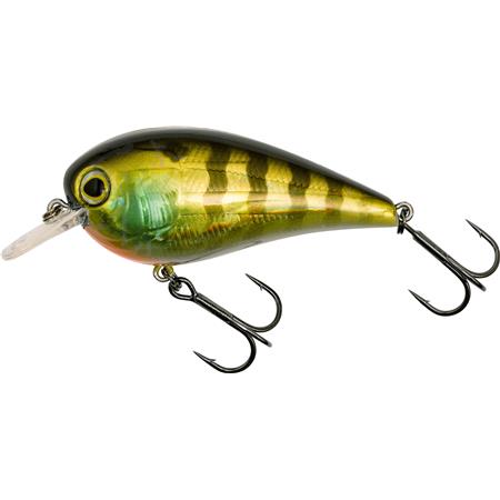 BOX WESTIN GIFT BOX LUC COPPENS' FAVORITES