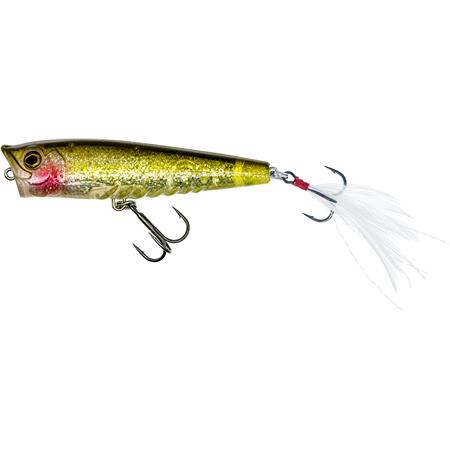 BOX WESTIN GIFT BOX RADEK FILIPS' FAVORITES