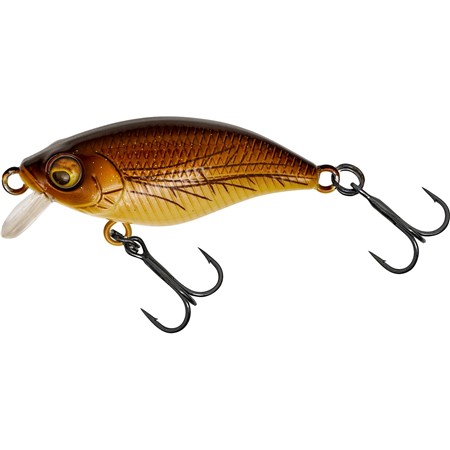 BOX WESTIN GIFT BOX RADOSŁAW WITÓLSKIS' FAVORITES