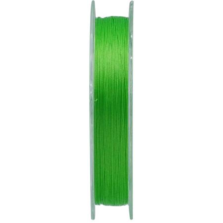 BRAID GOSEN ROOTS PE X8 LIGHT GREEN