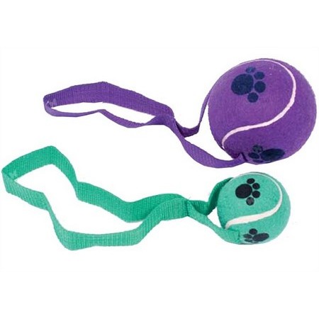 Brinquedo Bola Ténis Asa Correia P/ Cão