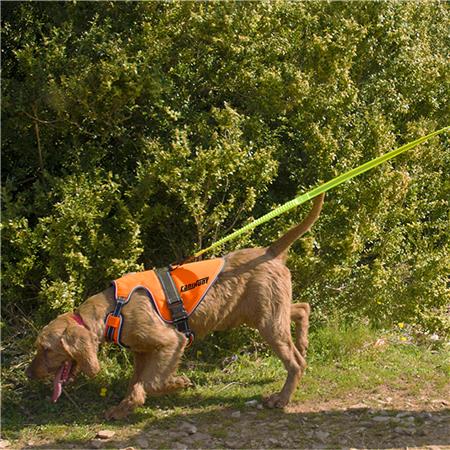 BRUSTGESCHIRR CANIHUNT HUND SIGNAL