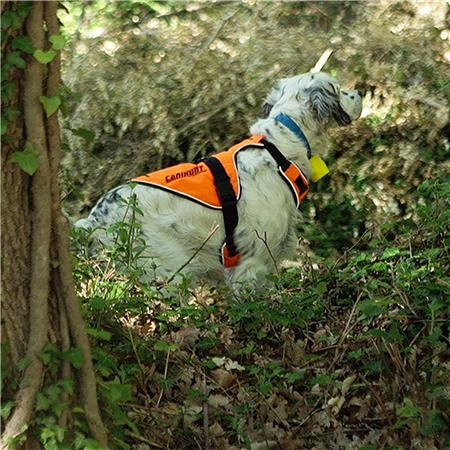 BRUSTGESCHIRR CANIHUNT HUND SIGNAL