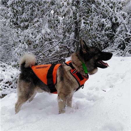 BRUSTGESCHIRR CANIHUNT HUND SIGNAL