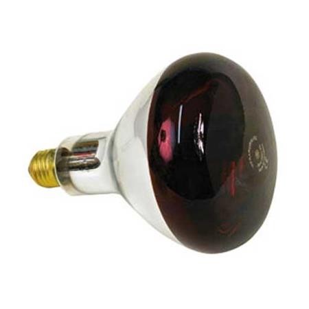 Bulb For Infra-Red Lamp Difac