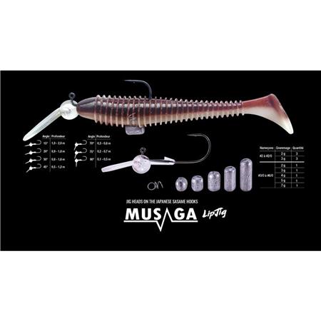 CABEÇA MUSAGA LIPJIG