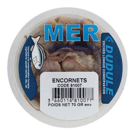 Calamares Enteros Dudule