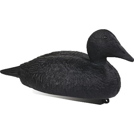 Calling Stepland Black Eider Duck Foams