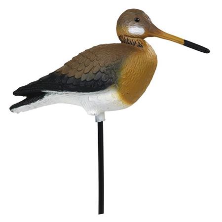 CALLING STEPLAND BLACK-TAILED GODWIT