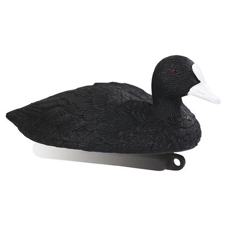 Calling Stepland Coot - Pack Of 12