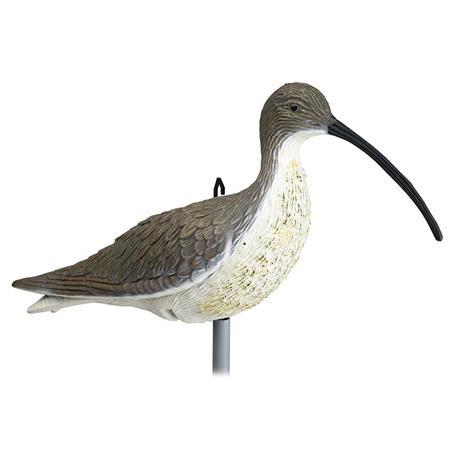 CALLING STEPLAND EURASIAN CURLEW