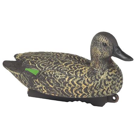 Calling Stepland Female Teal Hd - Pack Of 12