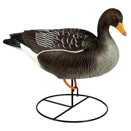 Calling Stepland Greylag Goose On Foot Hd - Pack Of 6