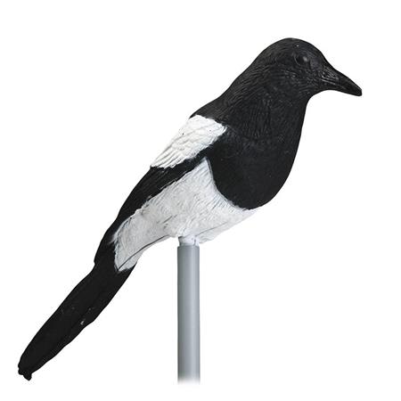 Calling Stepland Magpie - Pack Of 6