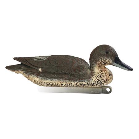 CALLING STEPLAND PINTAIL FEMALE