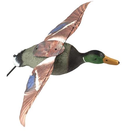 CALLING STEPLAND STEP-FLAP MALE MALLARD