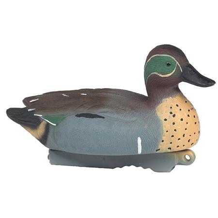 Calling Stepland Teal Male Hd - Pack Of 12