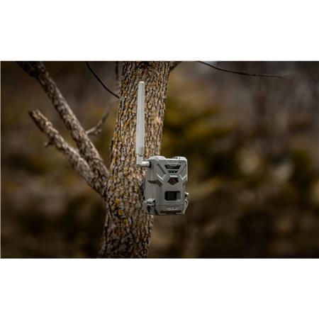CÁMARA DE CAZA SPYPOINT FLEX-M
