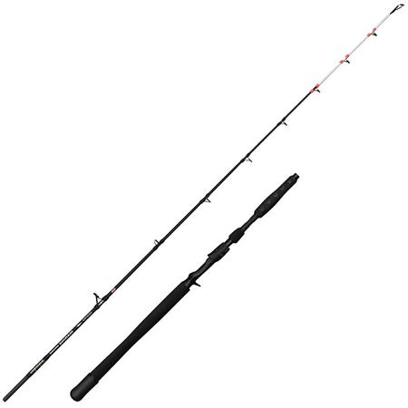 Caña Casting Penn Marine Brigade Dentex