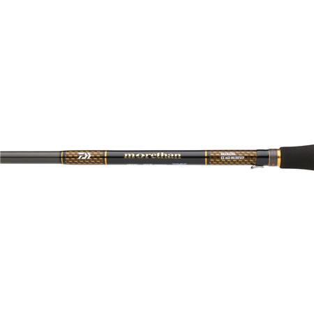 CAÑA DAIWA MORETHAN BRANZINO EXPERT