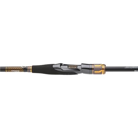 CAÑA DAIWA MORETHAN BRANZINO EXPERT