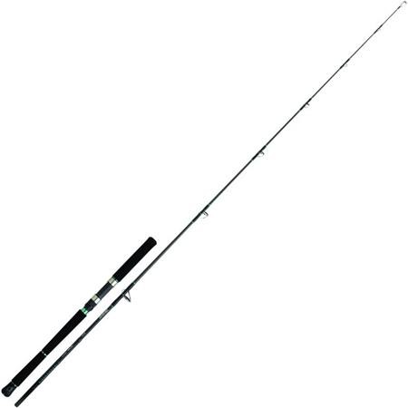 Cana Daiwa Saltist