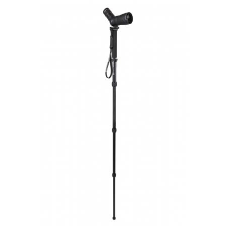 Cana De Pirsch Celestron Pour Longue Vue Hummingbird