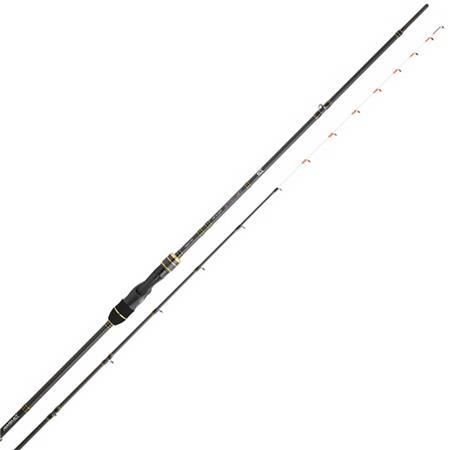Caña Spinning Daiwa Team Daiwa Tenya