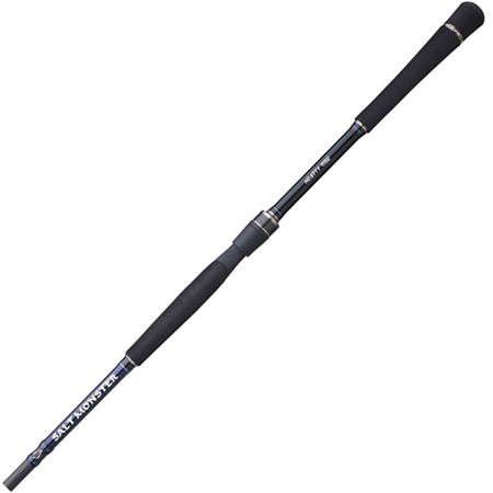 CAÑA SPINNING HEARTY RISE SALT MONSTER SW