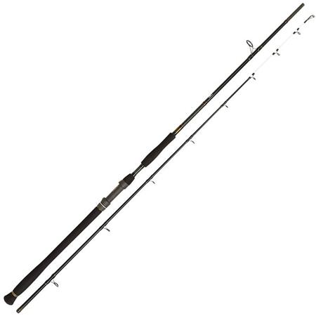 Cana Spinning Penn Legion Cat Gold Rvr Monster