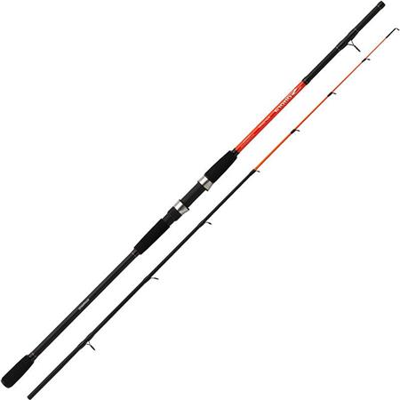 Cana Spinning Shimano Sonora Boat Quiver