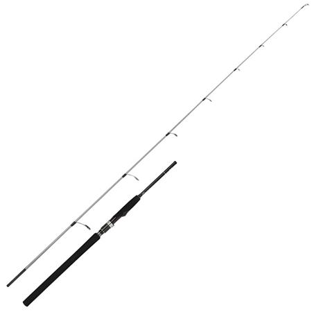 Caña Spinning Shimano Speedmaster R Jigging Sin