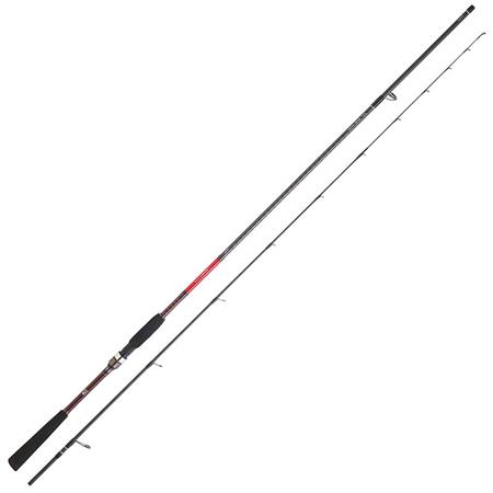 Cana Tenya Daiwa Saltist Tenya