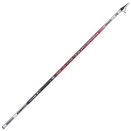 Canna Bolognese Mivardi Perfecta