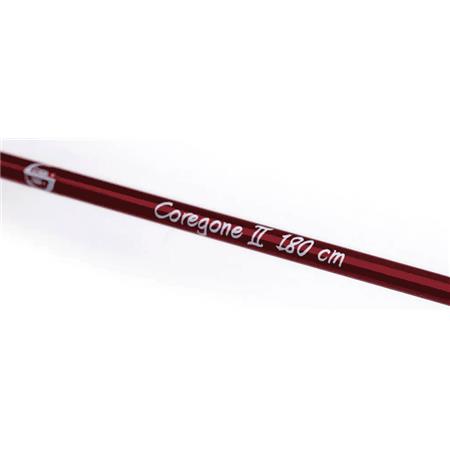 CANNA COREGONE STUCKI FISHING COREGONE II