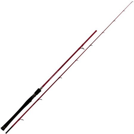 Canna Da Mare Tenryu Queen Tai