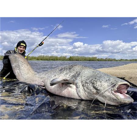 CANNA DA SPINNING BLACK CAT PERFECT PASSION XH-S