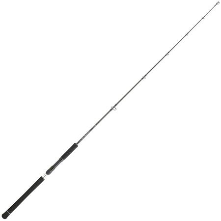 Canna Da Spinning Daiwa Legalis Jigging