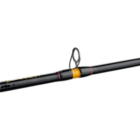 CANNA DA SPINNING UGLY STIK BIGWATER CONVENTIONAL ROD