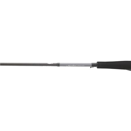 CANNA DAIWA SALTIST SEABASS