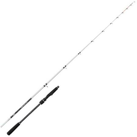 Canna Eging Mitchell Tanager Sw Squid Spinning Rod