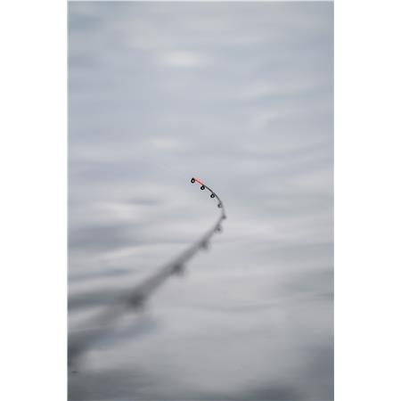 CANNA FEEDER ZEBCO AMBITION FEEDER