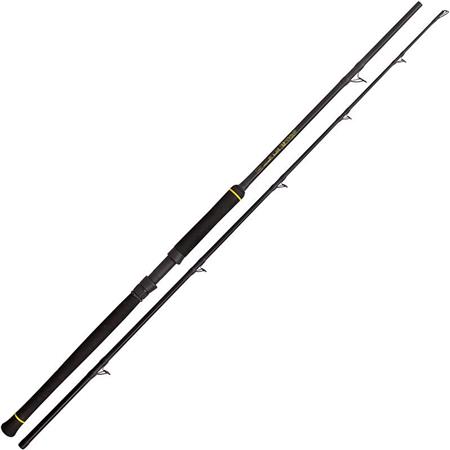 Canna Spinning Black Cat Black Passion Boat