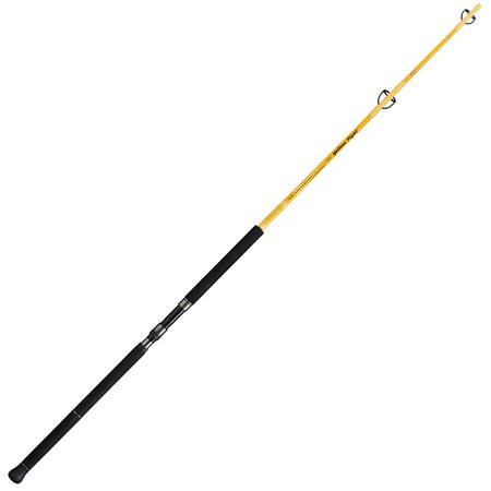 CANNA SPINNING ILLEX ELEMENT RIDER X5 S 240 H YELLOW FIGHT