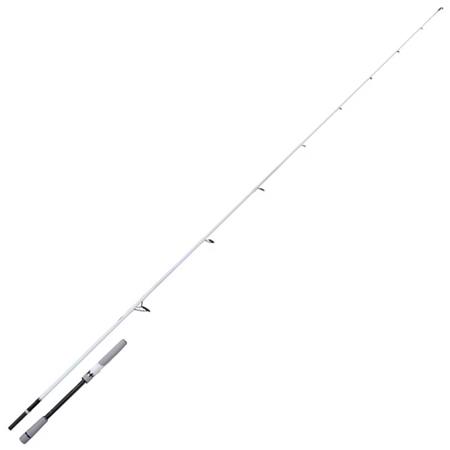 Canna Spinning Shimano Stradic Spinning Seabass