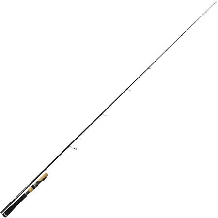 Canna Spinning Tenryu Injection Fast Finess Mh