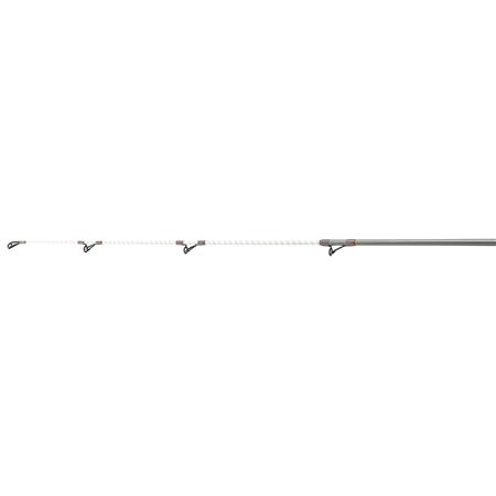 CANNA SURFCASTING DAIWA SHORECAST SURF X