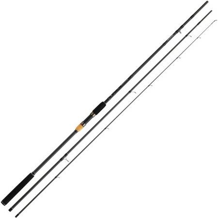 Canne Anglaise Telescopique Daiwa Black Widow Match